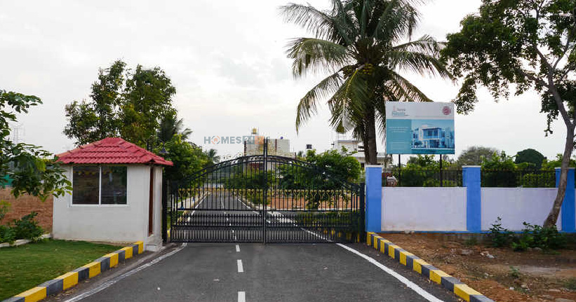 Surya Paradise Cover Image